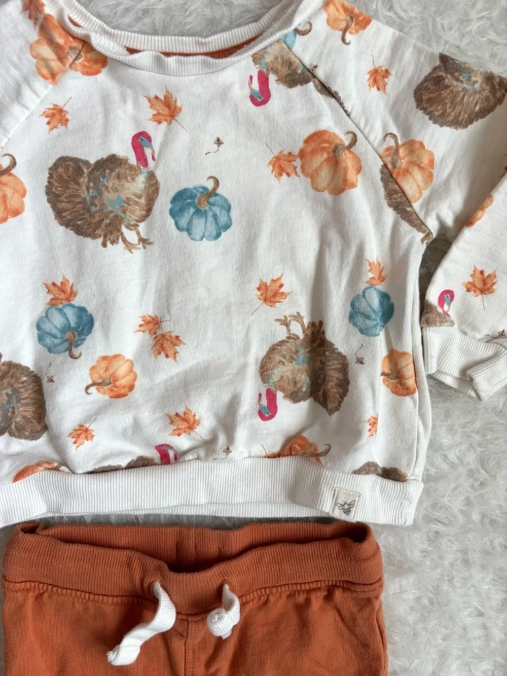 Burt's Bees Baby Gender Neutral Rust Orange Festive Thanksgiving Outfit